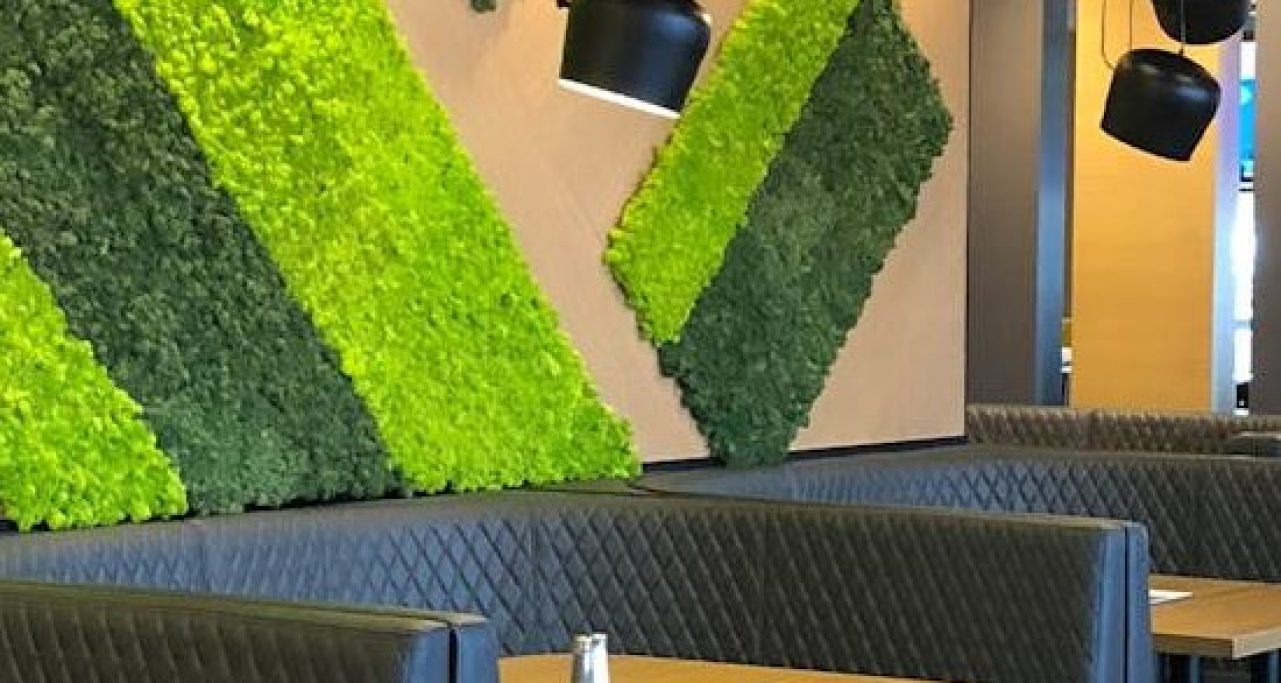 Moxies St. John's Interior